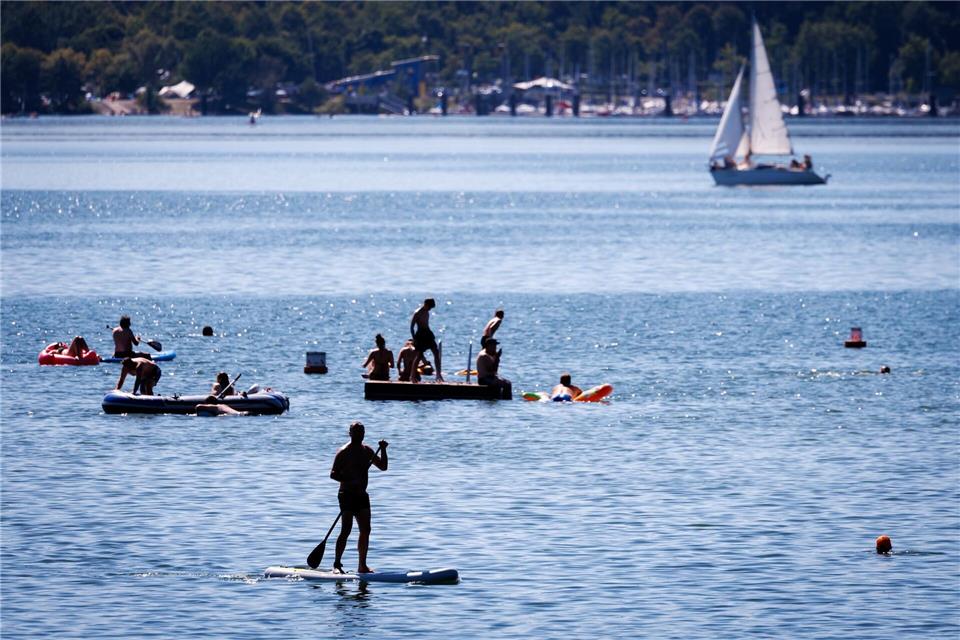 Polizei erschießt Wels - Sind Fische gefährlich für Badende? Der Wels griff laut Polizei Badende rund um eine Schwimminsel im Großen Brombachsee an. (Archivbild)Daniel Karmann/dpa
