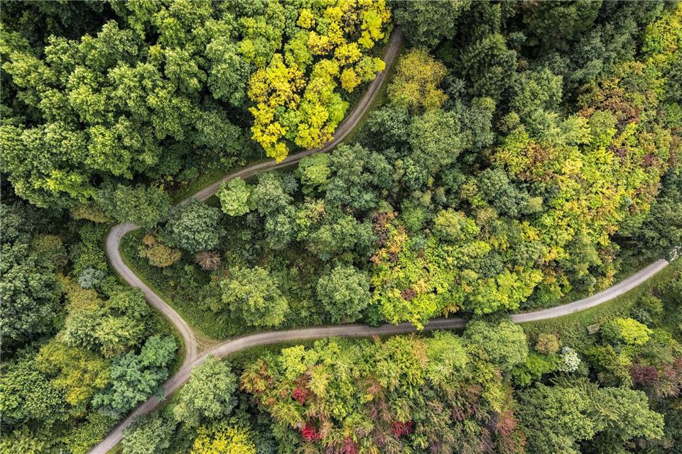 Der Weltwald ist parkartig angelegt.Swen Pförtner/dpa