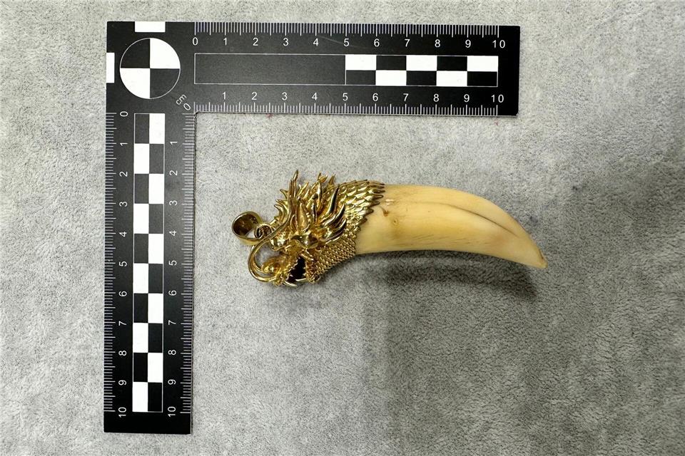 Der Wert der Kette liege bei über 4.000 Euro, sagte eine Sprecherin. -/Hauptzollamt Frankfurt am Main/dpa