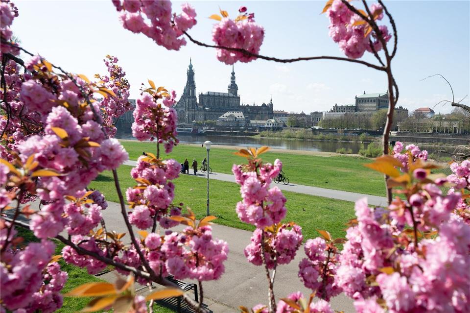 Der Wetterdienst hat Bilanz für April gezogen. (Archivbild)Sebastian Kahnert/dpa