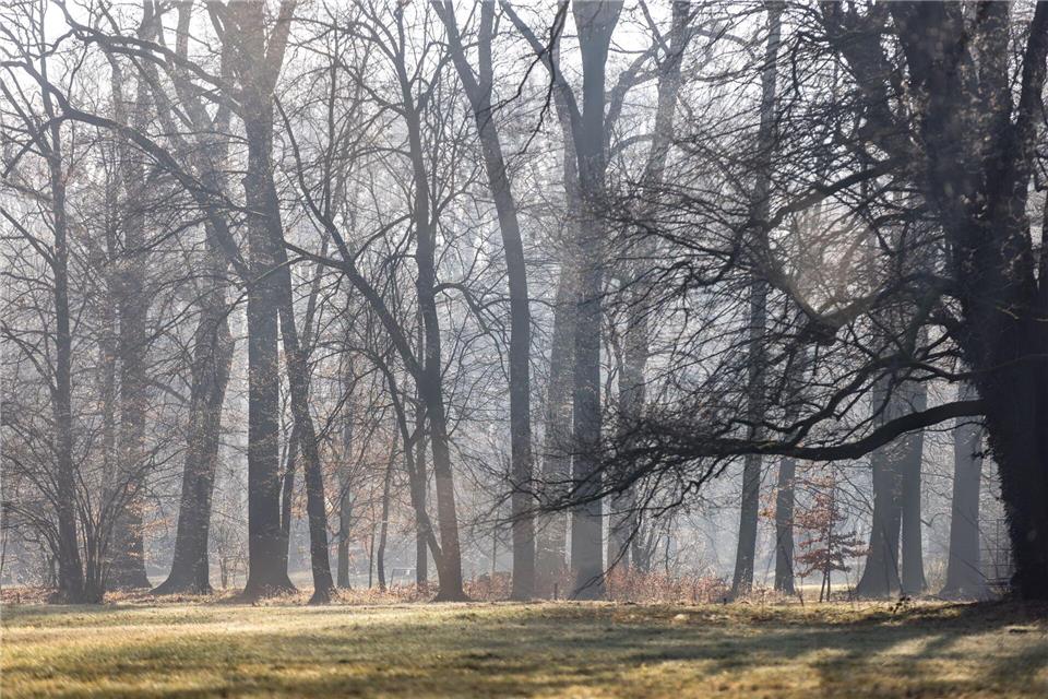Der Wetterdienst kündigt Sonnenschein und einstellige Temperaturen in Berlin und Brandenburg an. (Symbolbild)Frank Hammerschmidt/dpa