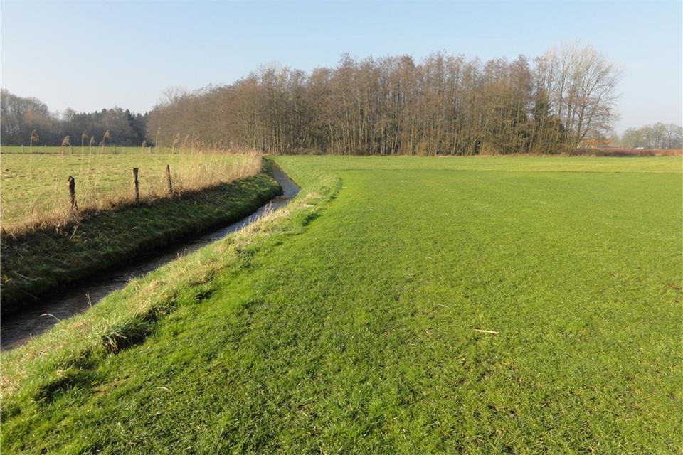 Der Wichersbach in Marbeck. Die Renaturierungsmaßnahmen sollen das Gebiet ökologisch aufwerten. Der Plan (kleines Bild) zeigt, wie die ökologische Aufwertung des Wichers- und des Hornefeldbaches und deren Verläufe künftig aussehen sollen. 