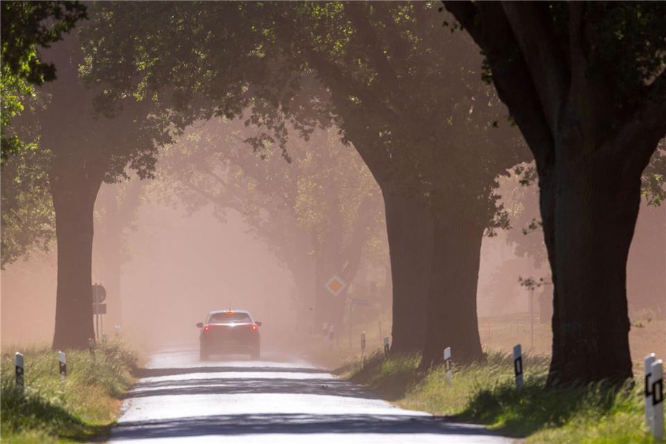 Der Wind wirbelte am Ostermontag Staub von Ackerflächen über die Straße. (Symbolbild)Jens Büttner/dpa