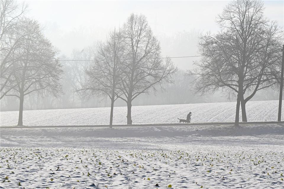 Der Winter hat Baden-Württemberg weiter im Griff. (Archivbild)Bernd Weißbrod/dpa