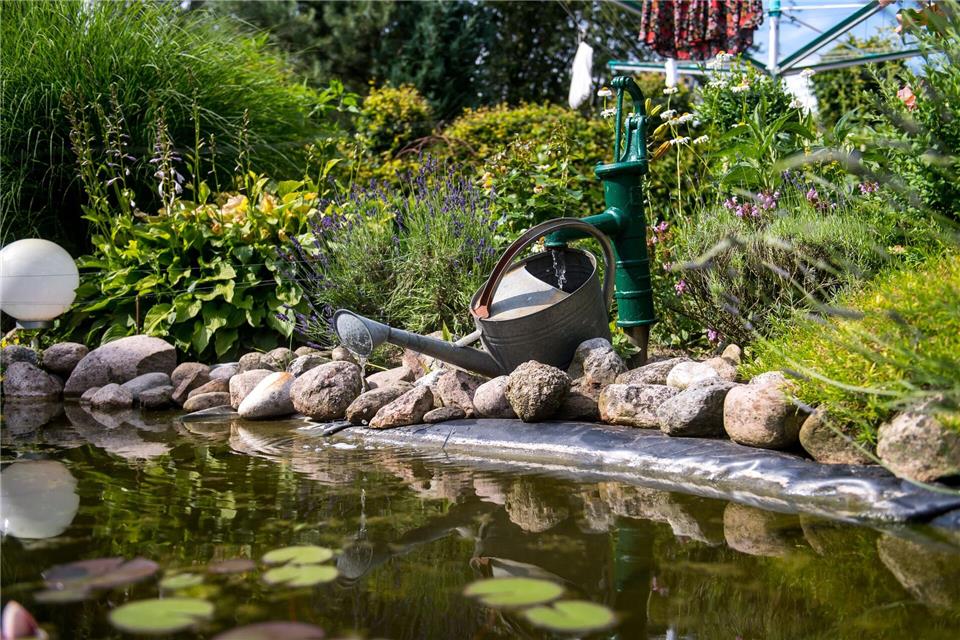 Der Winter hinterlässt Spuren am Teich. Jetzt ist der richtige Zeitpunkt, Ufer und Randbereiche in Ordnung zu bringen.Benjamin Nolte/dpa-tmn