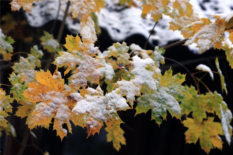 Der Winter löst den Herbst ab. (Archivbild)Karl-Josef Hildenbrand/dpa