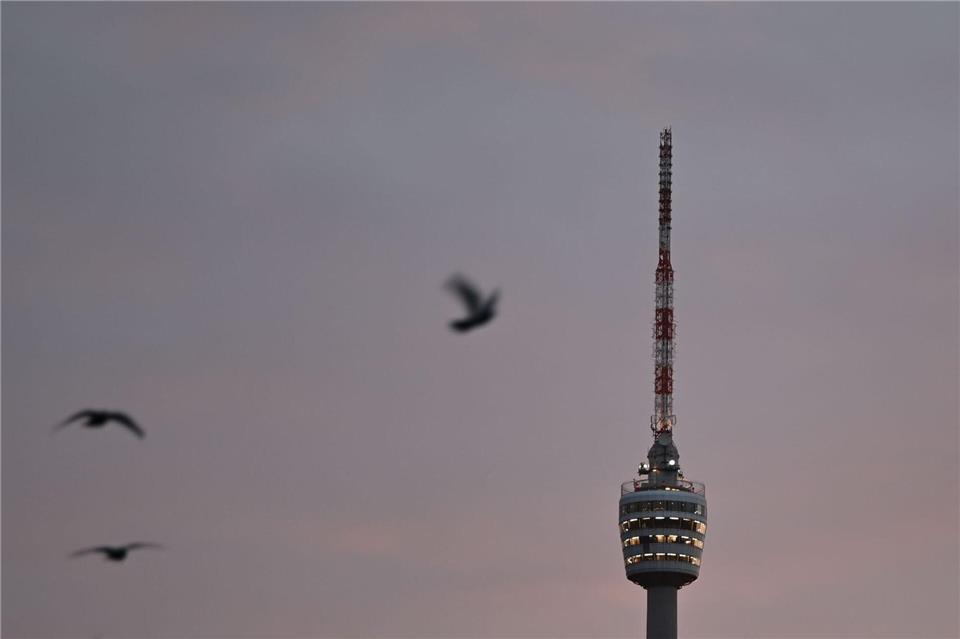 Der Winter zeigt sich von seiner grauen Seite. (Archivbild) Katharina Kausche/dpa