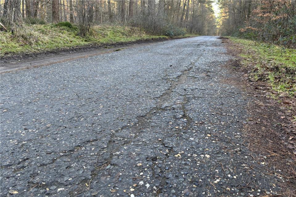 Der Wirtschaftsweg im Waldstück Waterberg wird saniert.