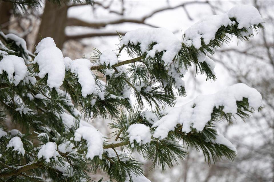 Der Wochenmarkt in Wismar fällt aus. (Symbolbild)Philip Dulian/dpa