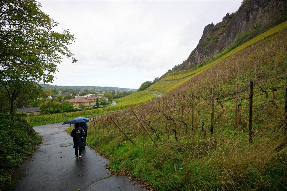 Der Wochenstart bringt durchmischtes Wetter nach NRW. Henning Kaiser/dpa