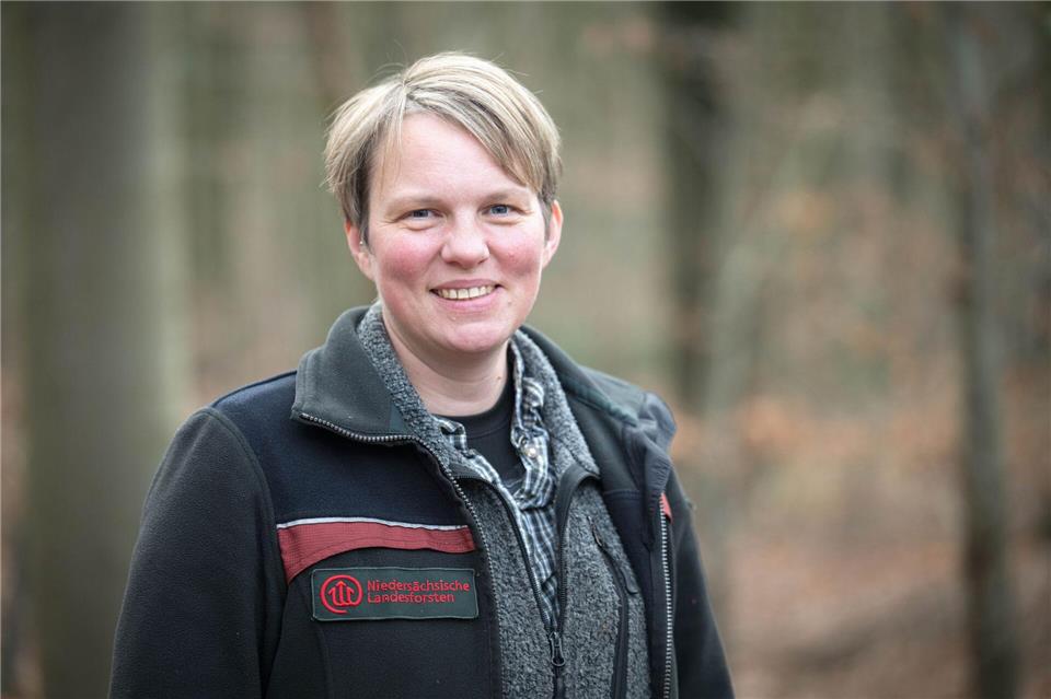 Der Wolf habe das Tierverhalten im Wald verändert, sagt Melanie Offermanns von der Revierförsterei Rüstje. (Archivbild)Sina Schuldt/dpa