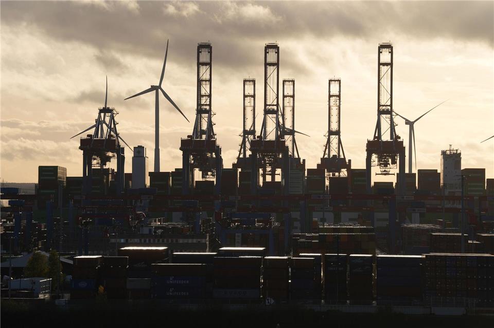 Der ZDS besteht aus rund 140 Mitgliedern der Hafenwirtschaft. (Archivbild) Marcus Brandt/dpa