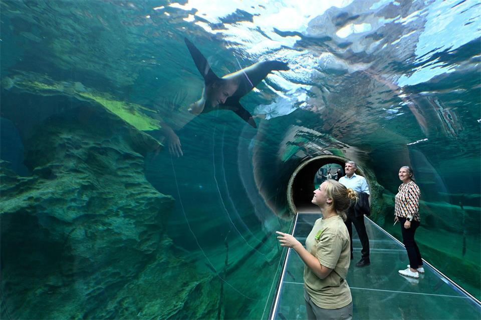 Der Zoo Leipzig hat seine neue Küsten- und Meereslandschaft „Feuerland“ eröffnet.Hendrik Schmidt/dpa