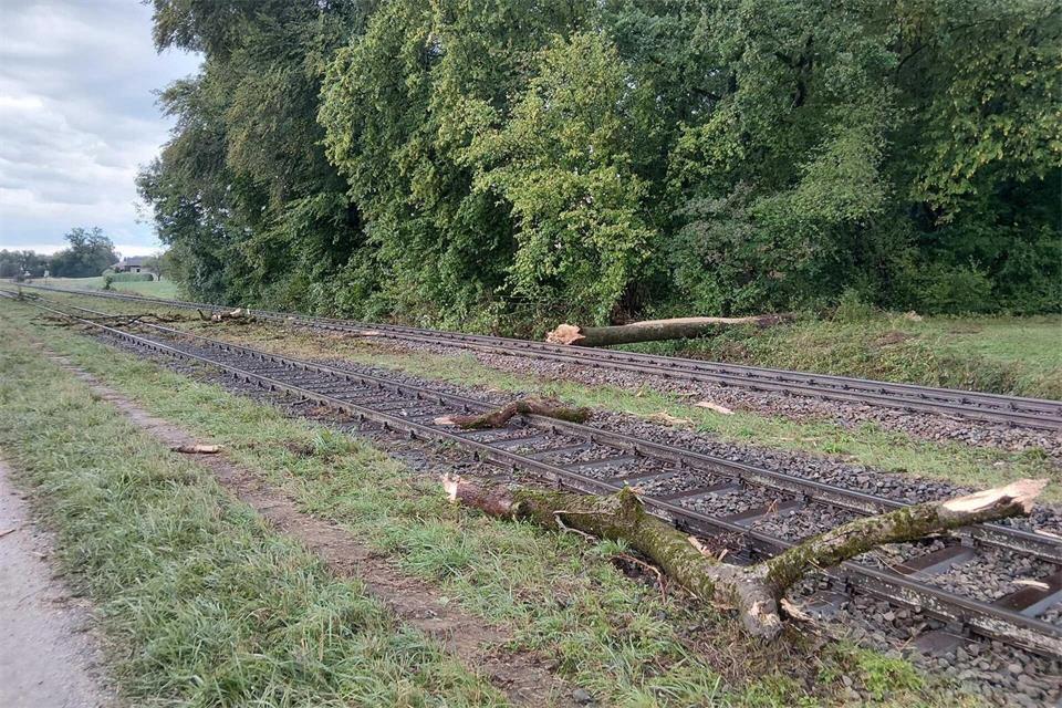Der Zug war mit hoher Geschwindigkeit unterwegs, als er mit dem Baum zusammenstieß.Bundespolizei/dpa