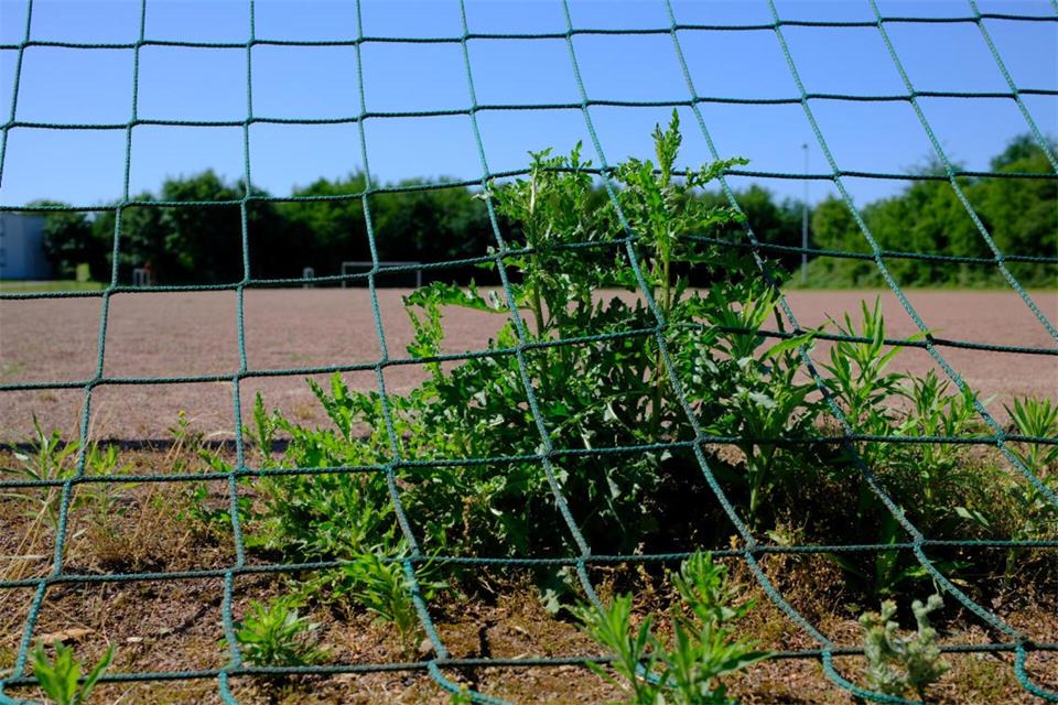 Der alte Ascheplatz soll in Bauland verwandelt werden.