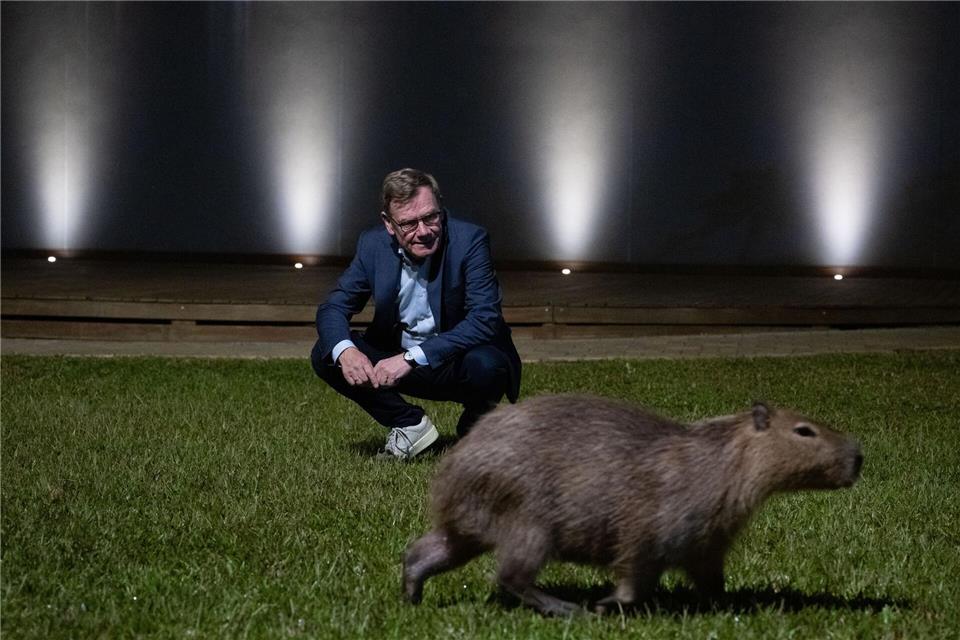 Der deutsche Außenminister Johann Wadephul (CDU) nähert sich am späten Abend freilebenden Capybaras in Brasilia. Boris Roessler/dpa