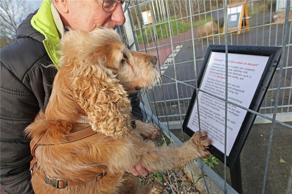 Der erstmals geplante Hunde-Weihnachtsmarkt am Neustädter See ist kurzfristig abgesagt worden Matthias Bein/dpa
