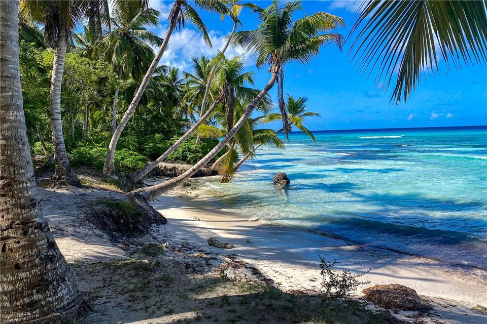 Der grausame Blackbeard soll auf Saona irgendwo sein Gold vergraben haben. Der Trauminsel macht mittlerweile der Overtourismus zu schaffen.Joachim Hauck/dpa-tmn