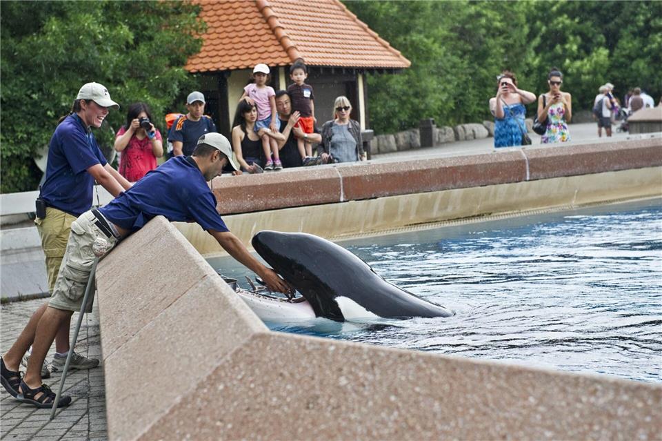 Der inzwischen geschlossene Freizeitpark in Kanada warnt, er müsse womöglich seine Tiere einschläfern. (Archivbild)Randy Risling/Toronto Star/Zuma Press/dpa
