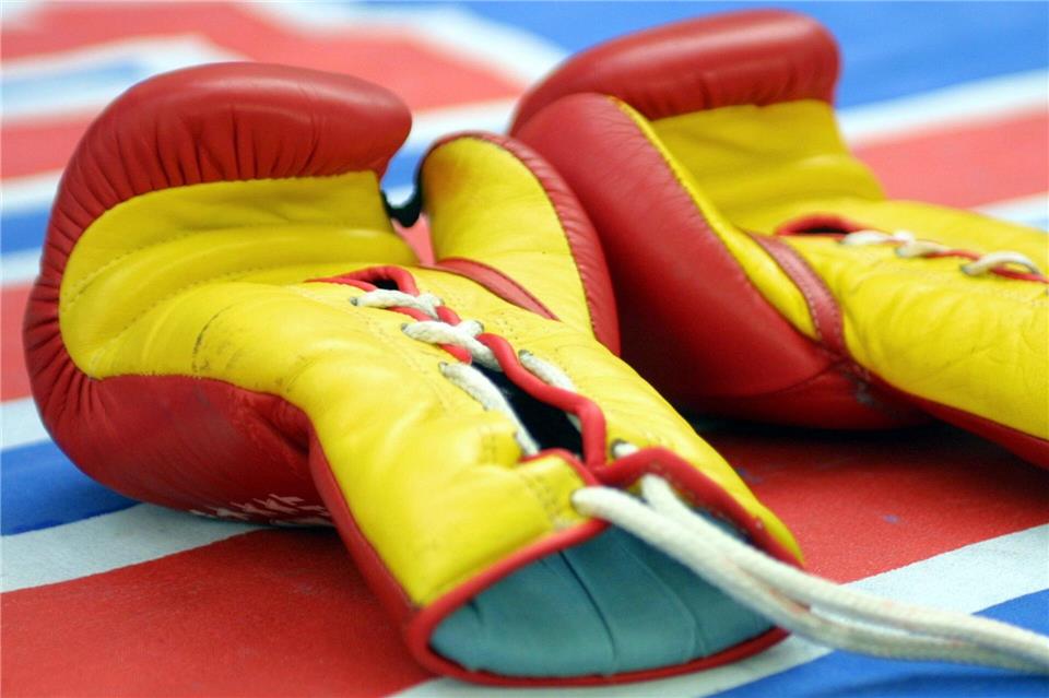 Der japanische Boxsport trauert um zwei Athleten.Andreas Lander/Zentralbild/dpa