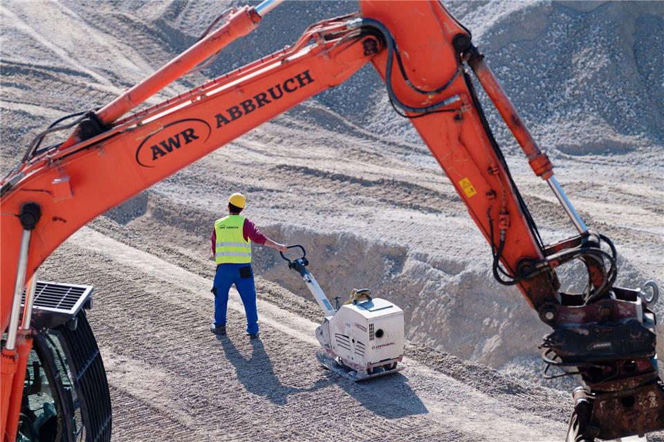 Der lange Arm des Abrisses. (Archivbild)Uwe Anspach/dpa
