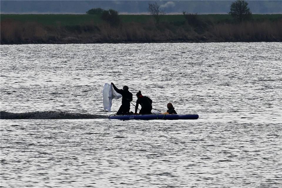 Der menschliche Eingriff in die Natur ist laut Ethikrat so stark, dass Menschen eine moralische Verantwortung tragen, bestimmte Arten bis zu einem gewissen Maß zu helfen.Bernd Wüstneck/dpa