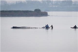 Der private Rettungsversuch für den gestrandeten Wal vor Poel beginnt mit einer Annäherung von Helfern.Philip Dulian/dpa