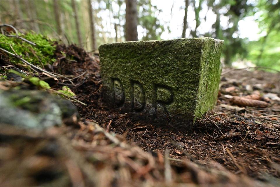 Der sächsische Abschnitt des Grünen Bandes liegt an der Grenze zu Bayern und ist 42 Kilometer lang. (Symbolbild)Martin Schutt/dpa