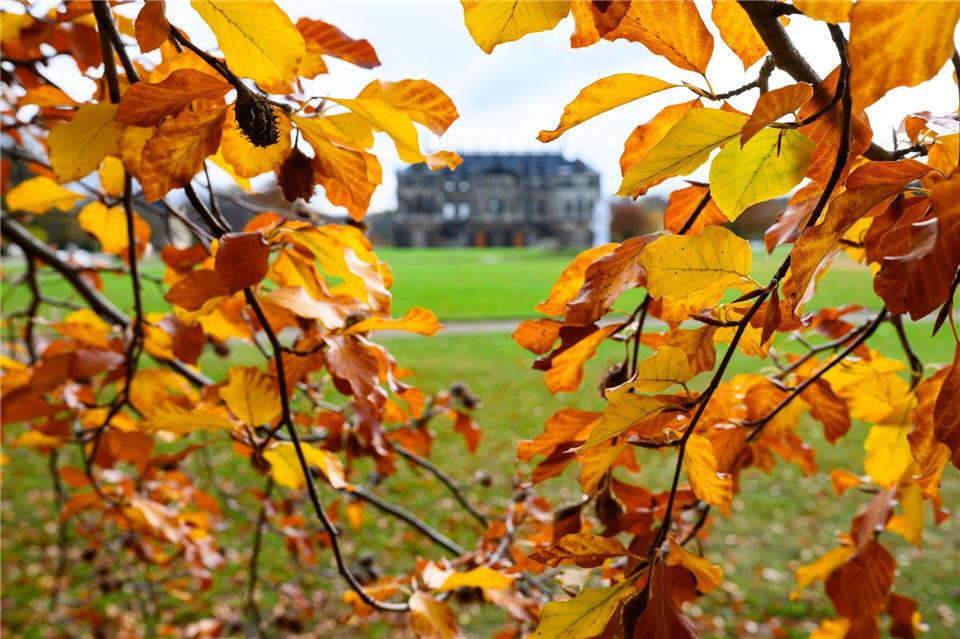 Der sächsische Herbst war in diesem Jahr mild. (Symbolbild) Robert Michael/dpa