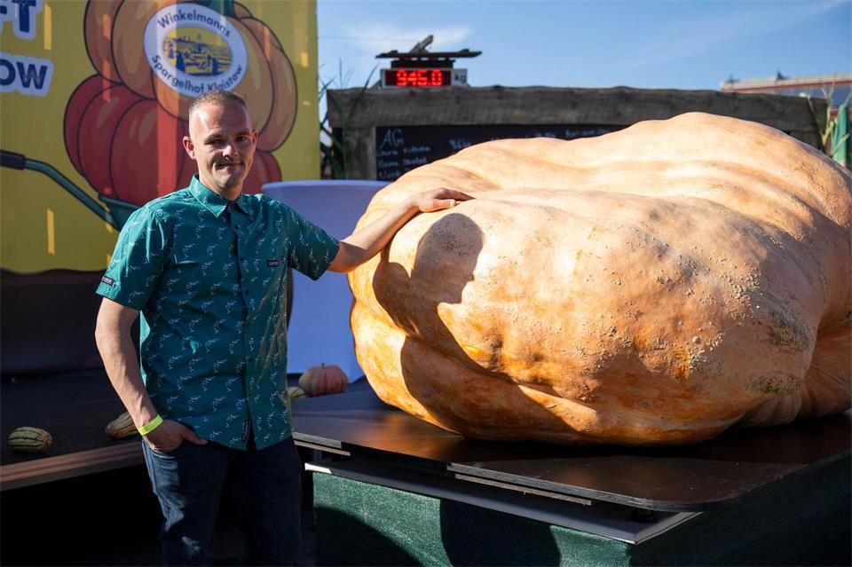 Der schwerste Kürbis bei der Kürbiswiegemeisterschaft in Klaistow von Oliver Grafe ist rund 942 Kilogramm schwer.Christophe Gateau/dpa