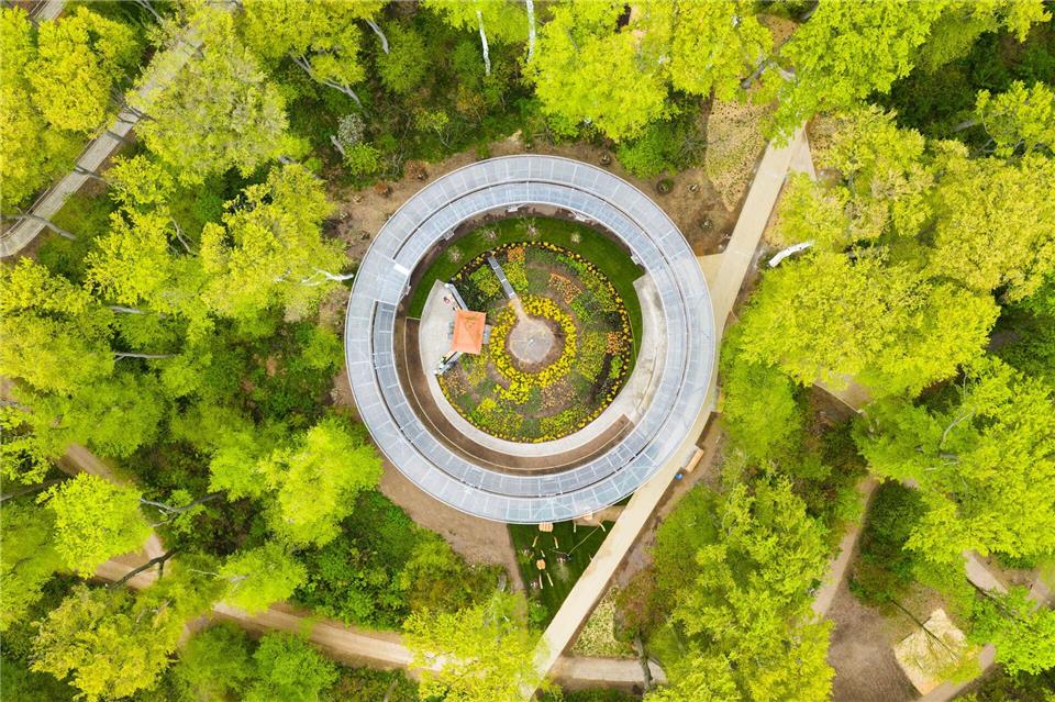 Der sogenannte „Waldtempel“ von oben aus gesehen: Im Kreis herum geht es immer höher.Julian Stratenschulte/dpa