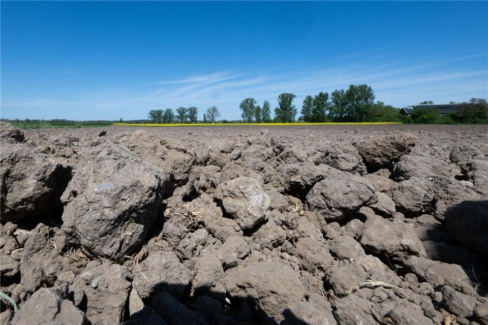 Der stellenweise ausgetrocknete Boden braucht dringend Wasser. (Archivbild)Boris Roessler/dpa
