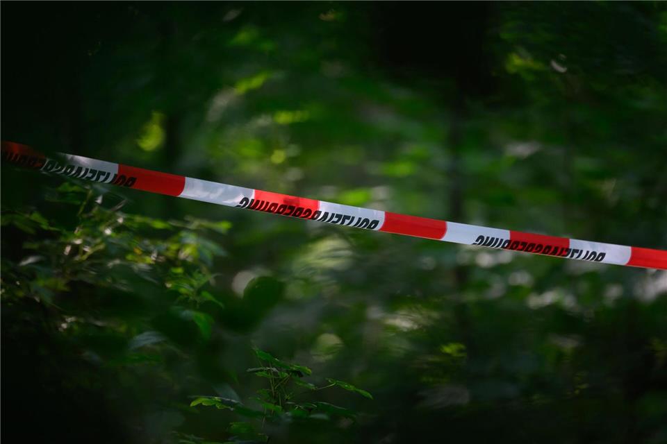 Der tödliche Schuss fiel in einem unwegsamen Waldgebiet bei Warburg. (Symbolbild)Robert Michael/dpa