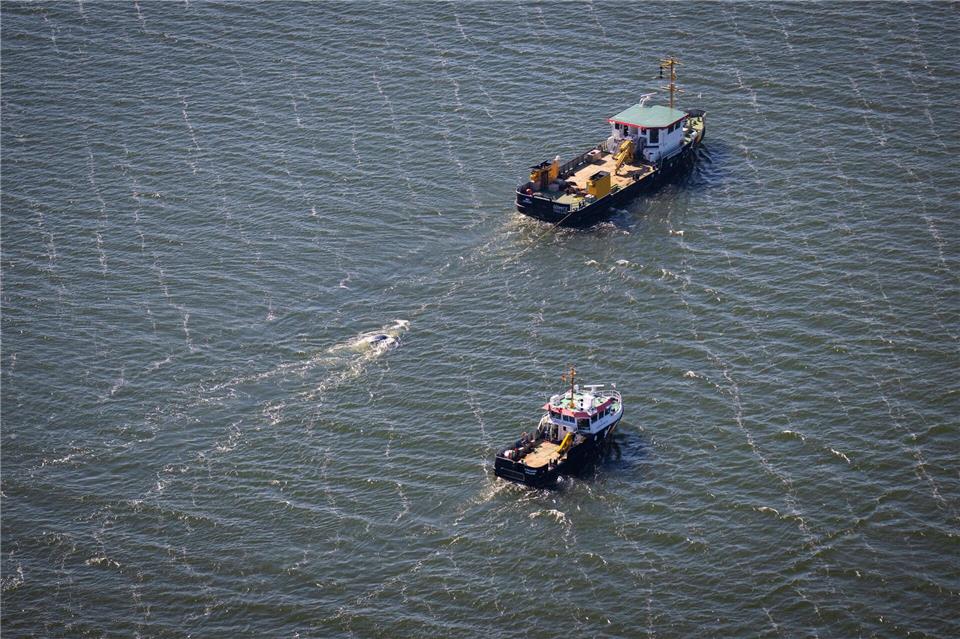 Der tote Wal im Greifswalder Bodden wird von einem Schiff abgeschleppt.Philip Dulian/dpa