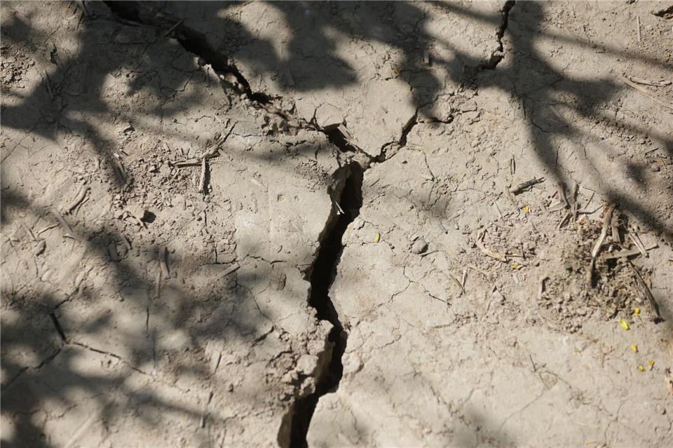 Der trockene Juli hat Folgen auch für die Grundwasserstände im Südwesten. (Archivbild) Thomas Warnack/dpa