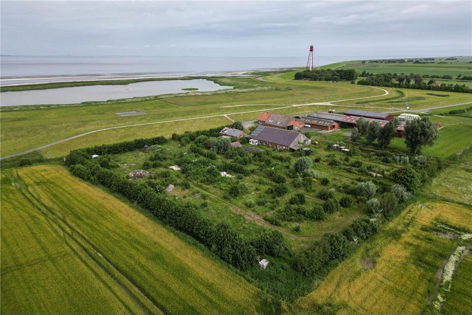 Der verlassene Campingplatz Dyksterhus in Ostfriesland soll versteigert werden.Lars Penning/dpa
