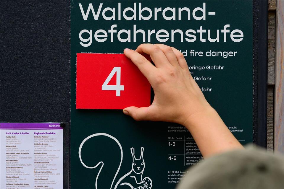 Der vielen Regentage im Juli haben die Waldböden dringend gebraucht - aber es war noch nicht genug.  (Archivbild)Philipp Schulze/dpa