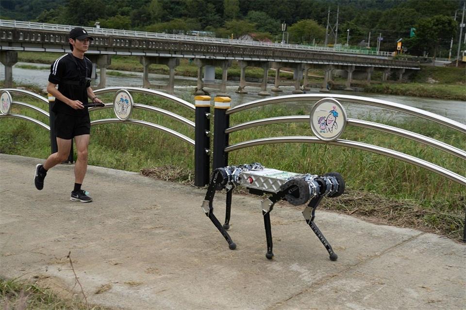 Der vierbeinige Roboter „Raibo2“ hat einen vollständigen Marathonlauf in 4 Stunden und 19 Minuten in Südkorea absolviert.-/KAIST/dpa