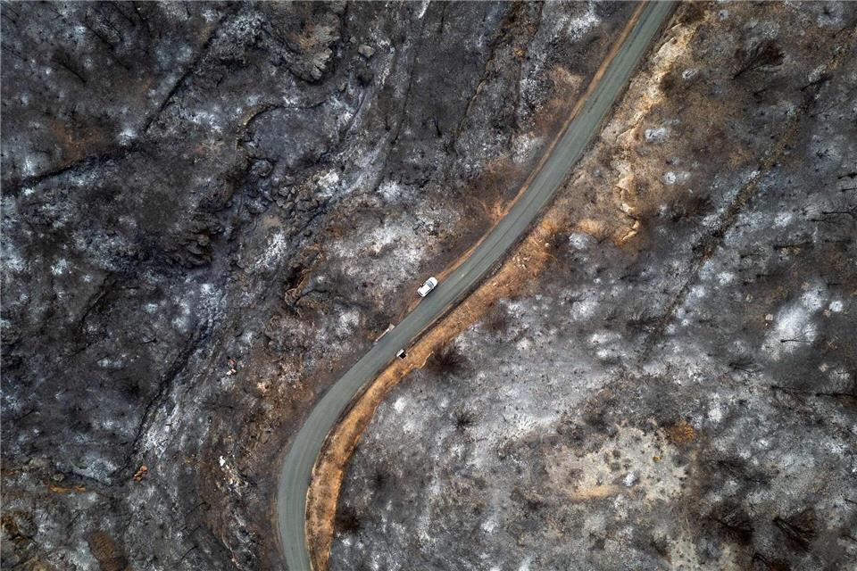Flächenbrände verursachen weltweit immer immensere Schäden Der weltweite Schaden durch Flächenbrände hat seit 2015 stark zugenommen. (Archivbild)Lionel Bonaventure/AFP/dpa