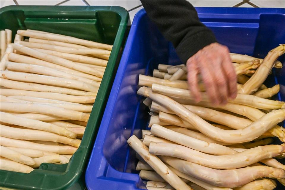 Derzeit bekommen Verbraucher Spargel so günstig wie sonst nicht in der Saison. (Archivbild)Jens Kalaene/dpa