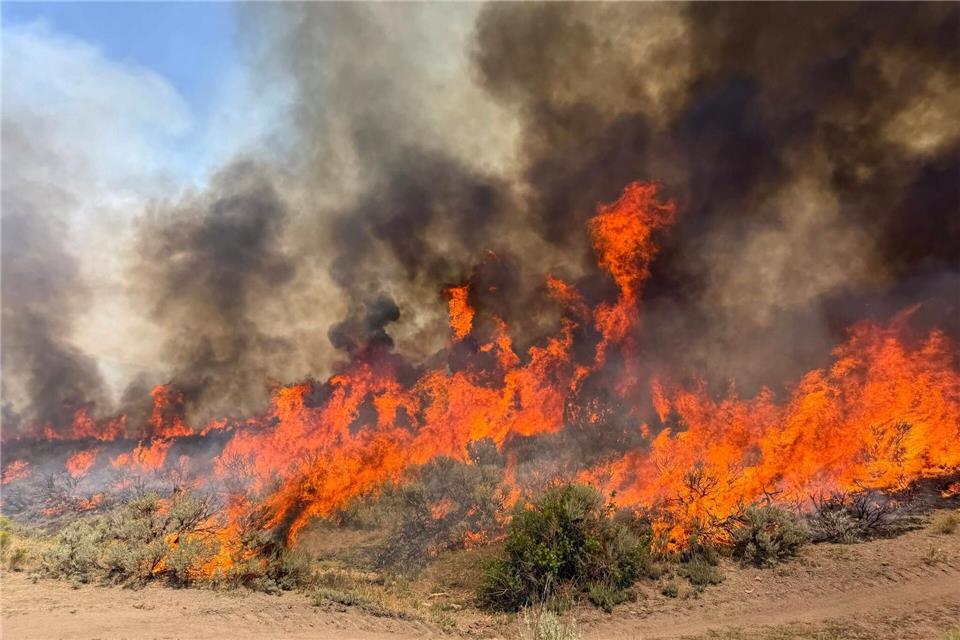 Derzeit brennt es vielerorts in Utah (Handout).Uncredited/U.S. Forest Service/Fishlake National Fores/AP/dpa