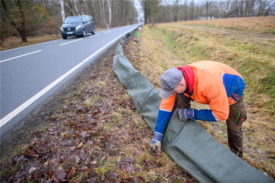 Derzeit werden die Krötenzäune installiert. Klaus-Dietmar Gabbert/dpa