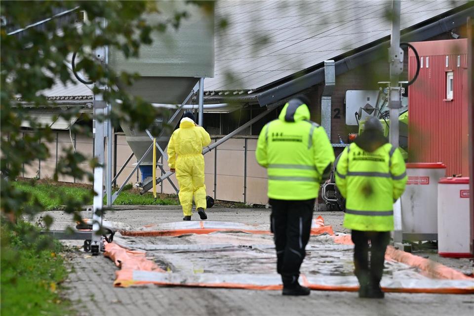 Desinfektionsschleuse an der Zufahrt für einen Geflügelhof in Rees. Wegen eines Geflügelpest-Ausbruchs mussten dort fast 19.000 Puten getötet werden. Bernd Thissen/dpa