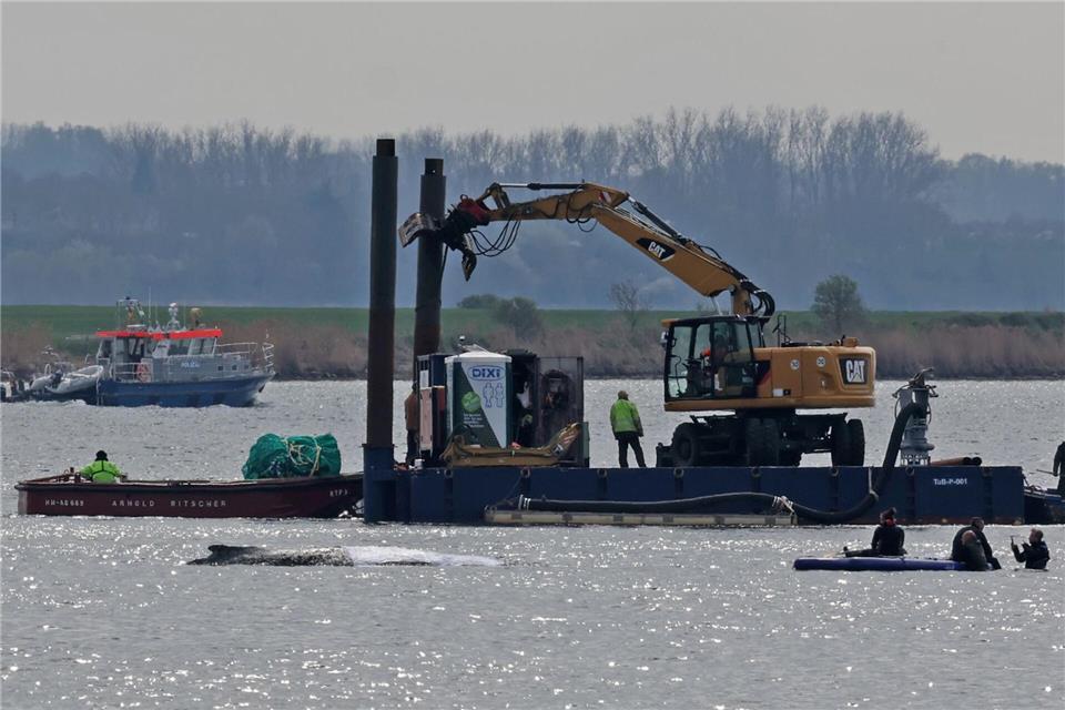 Detaillierte Infos zum Fortschritt der Rettungsaktion gibt es von den Initiatoren nicht.Bernd Wüstneck/dpa