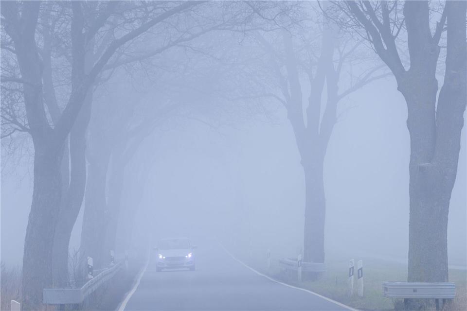 Dichter Nebel sorgte dafür, dass ein Schulbusfahrer die Abzweigung verpasste. (Symbolbild)Jens Büttner/dpa