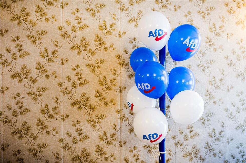 Dicke Luft? Beim Parteitag gibt sich die AfD Niedersachsen geschlossen.Moritz Frankenberg/dpa