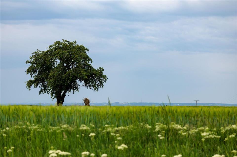 Die 20 Grad werden vorerst nicht mehr erreicht, aber schon ab Sonntag ist es wieder weitgehend trocken.Jörg Halisch/dpa