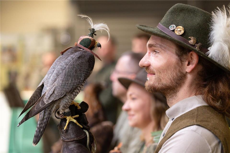 Die 25. Auflage der Messe „Reiten-Jagen-Fischen“ lockt unter anderem mit Vorführungen von Falknern nach Erfurt.Michael Reichel/dpa