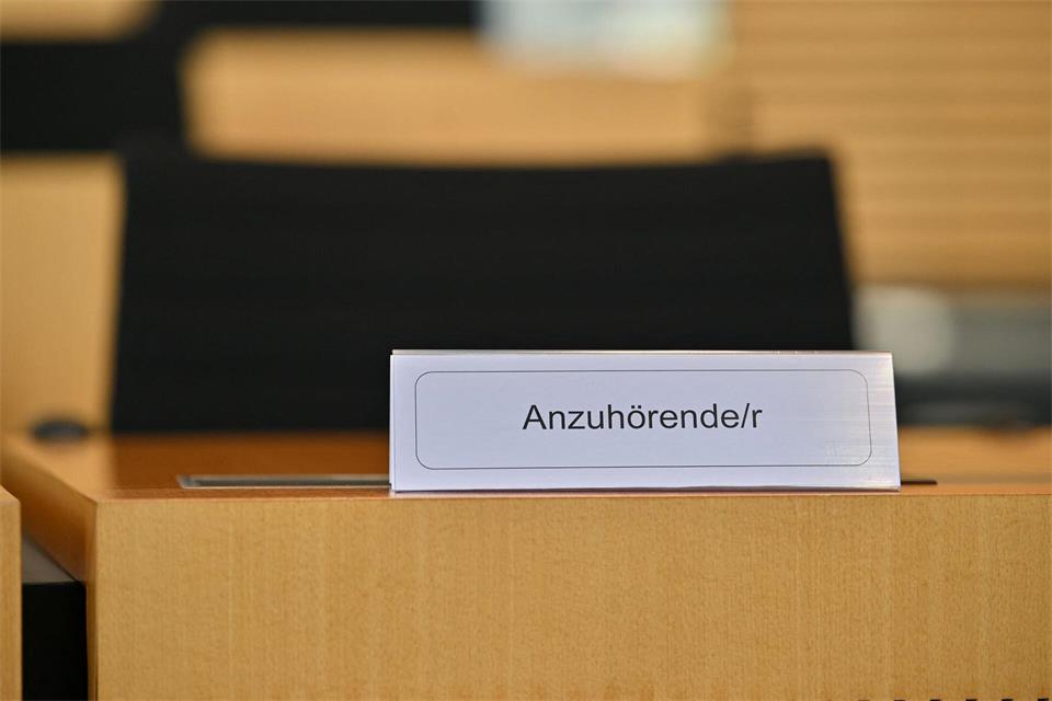 Die Abgeordneten im Thüringer Landtag haben sich bei einer Anhörung mit Experten und Juristen mit einem möglichen AfD-Verbotsverfahren auseinandergesetzt.Martin Schutt/dpa