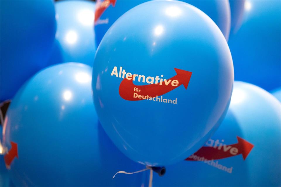 Die AfD Brandenburg darf an Schulen keine Werbemittel verbreiten. (Archivbild)Monika Skolimowska/dpa-Zentralbild/dpa